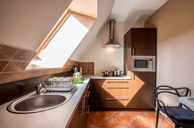 Апартаменты Apartament Regle Zakopane Косцелиско-51